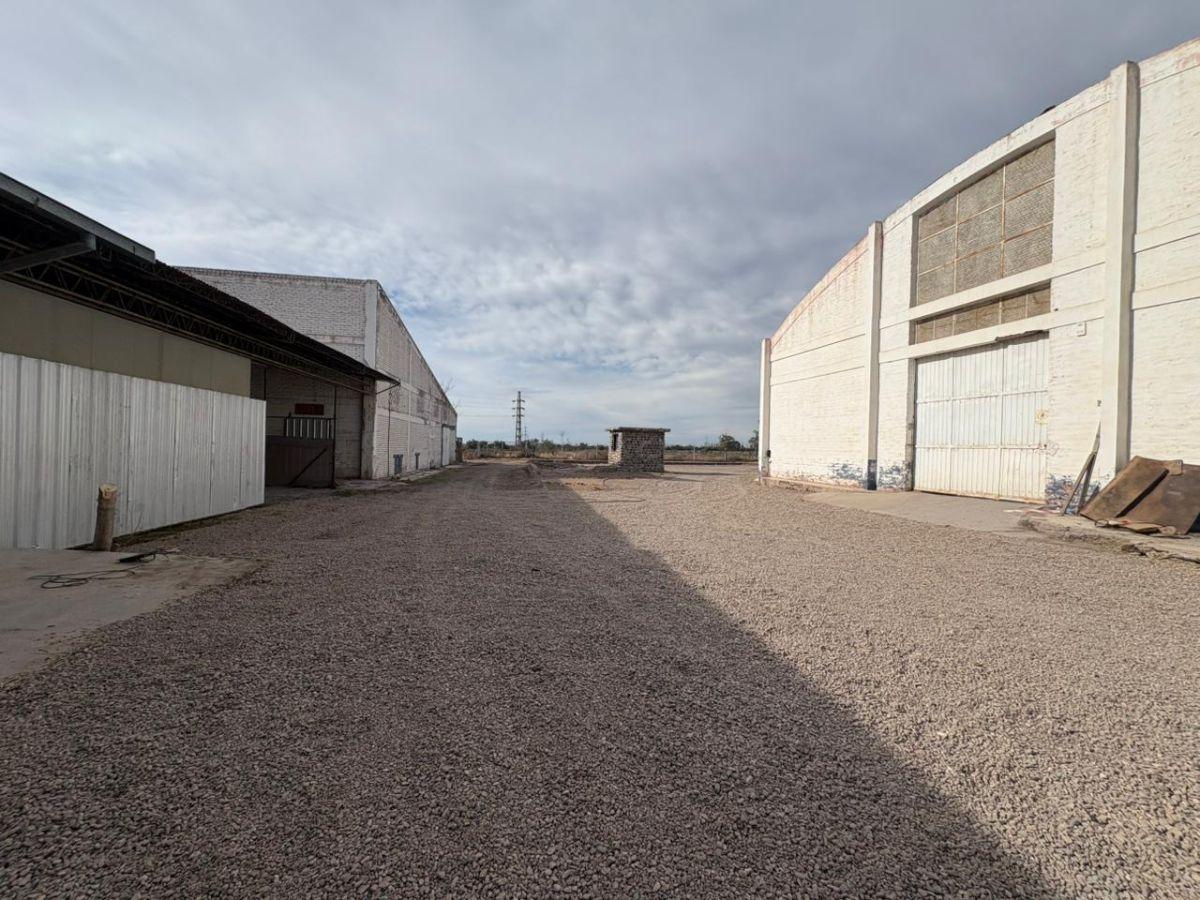 Foto de Alquiler - Galpón (600m2) - Maipú, imagen 3