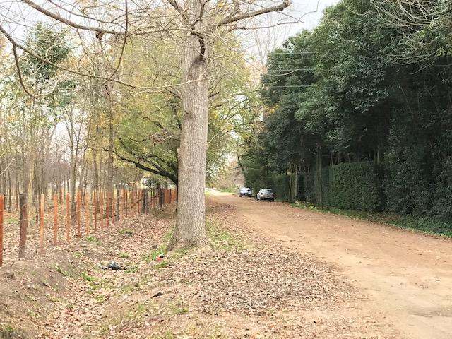 Foto de Terreno - Villa Elisa, imagen 3