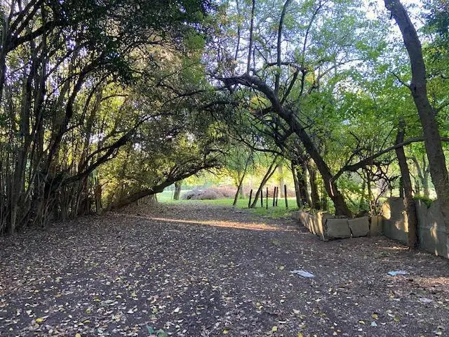Terreno entre caminos . Zona parque ecológico 5
