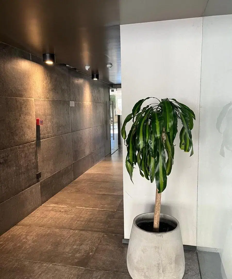 Departamento monoambiente amoblado, excelente zona 2