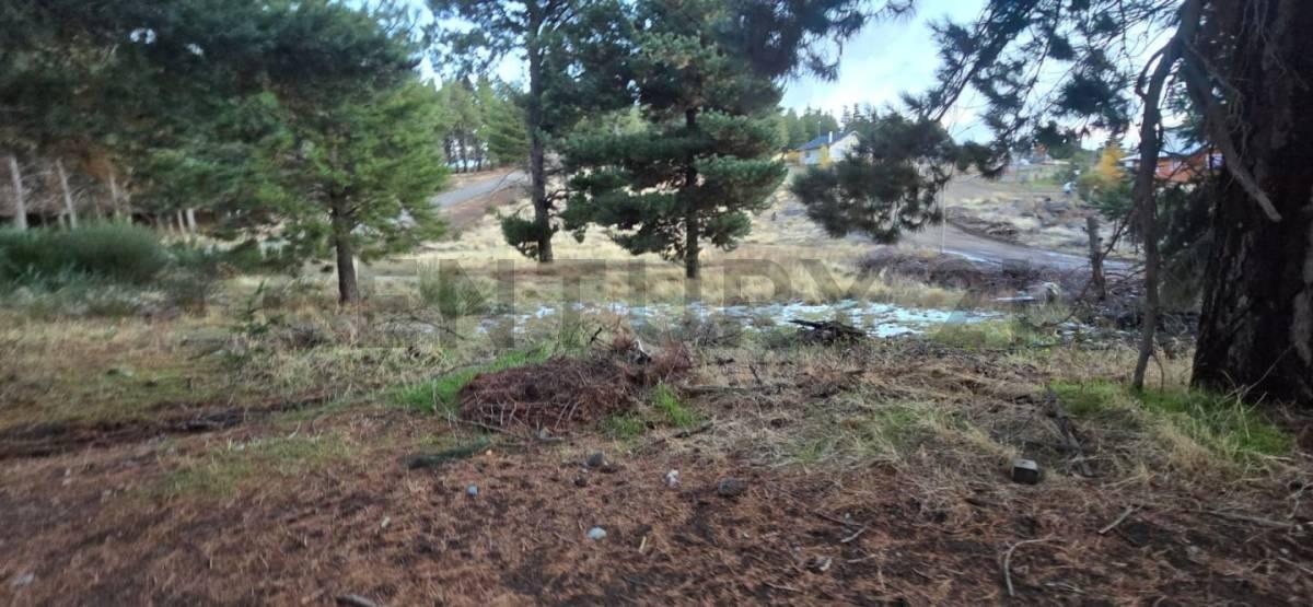 Venta de Lote en PH en Dina Huapi, San Carlos de Bariloche. 1