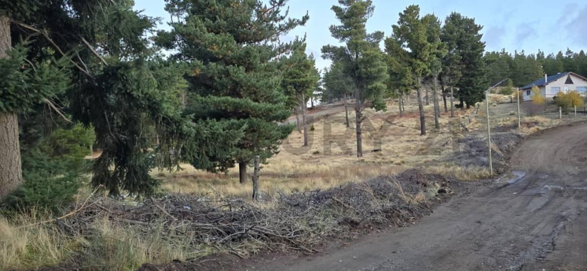 Venta de Lote en PH en Dina Huapi, San Carlos de Bariloche. 4
