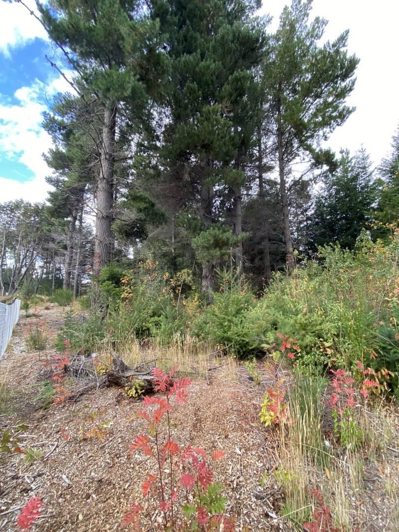 Lote en Venta Bariloche 4