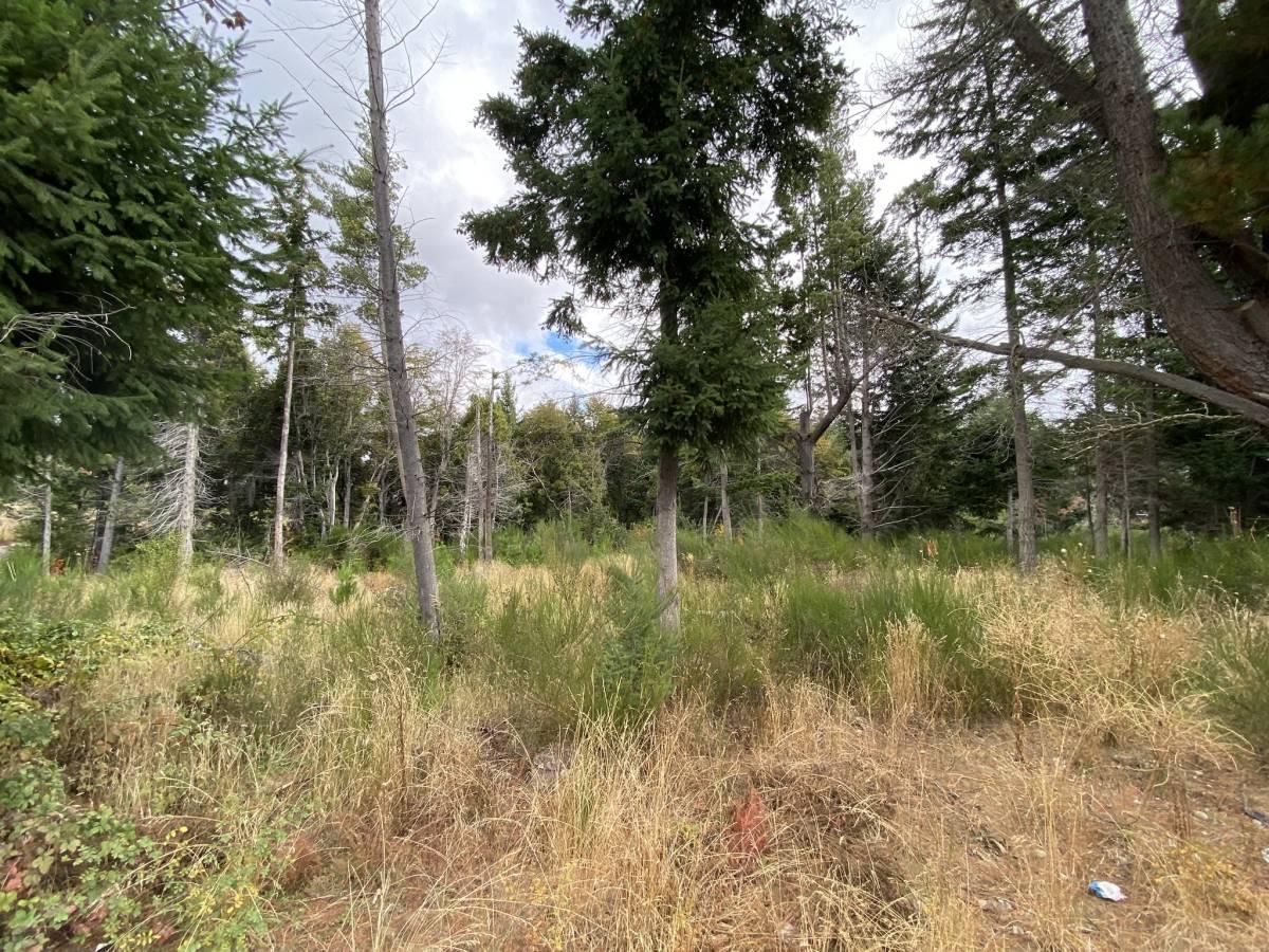 Lote en Venta Bariloche 5