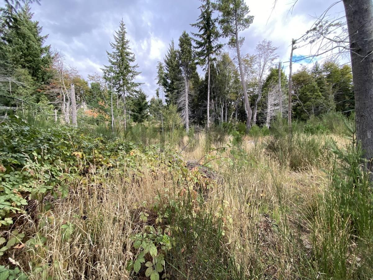 Lote en Venta Bariloche 2