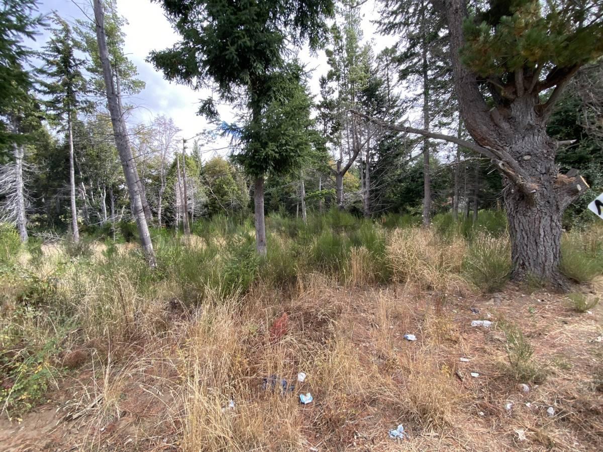Lote en Venta Bariloche 3