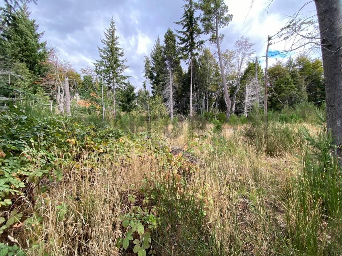 Lote en Venta Bariloche 2