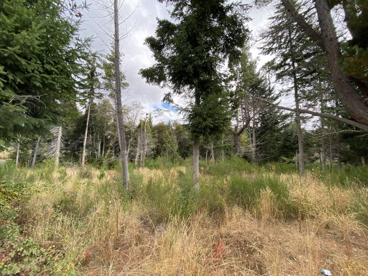 Lote en Venta Bariloche 5