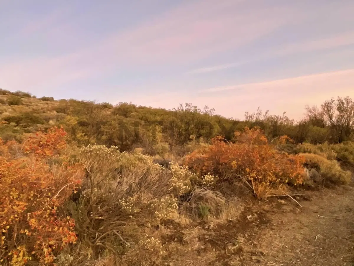 Lote en Venta Dina Huapi 5