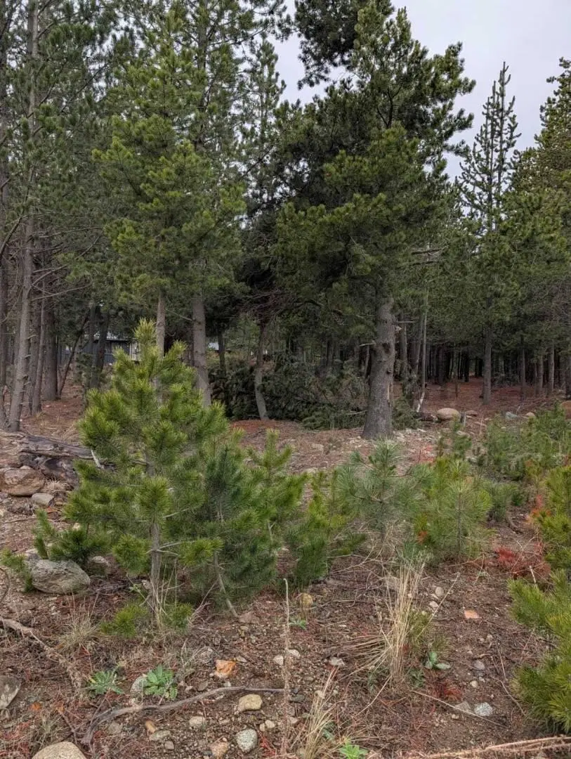 Lote en venta Dos Valles Bariloche 5