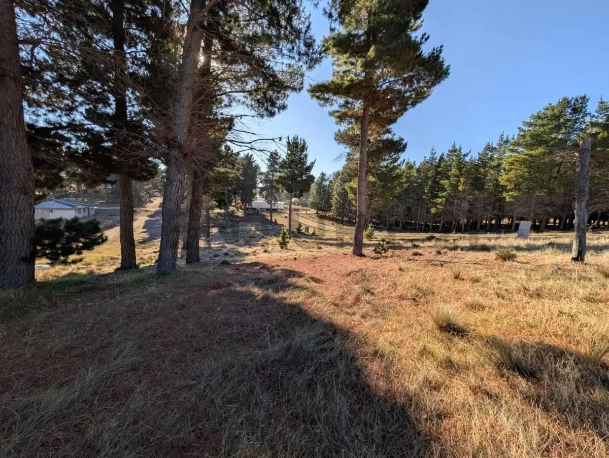 Lote en venta Dina Huapi 8