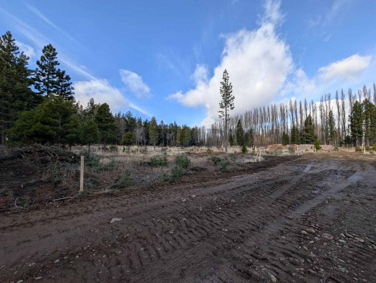 Foto de Lote en venta Dina Huapi, imagen 2