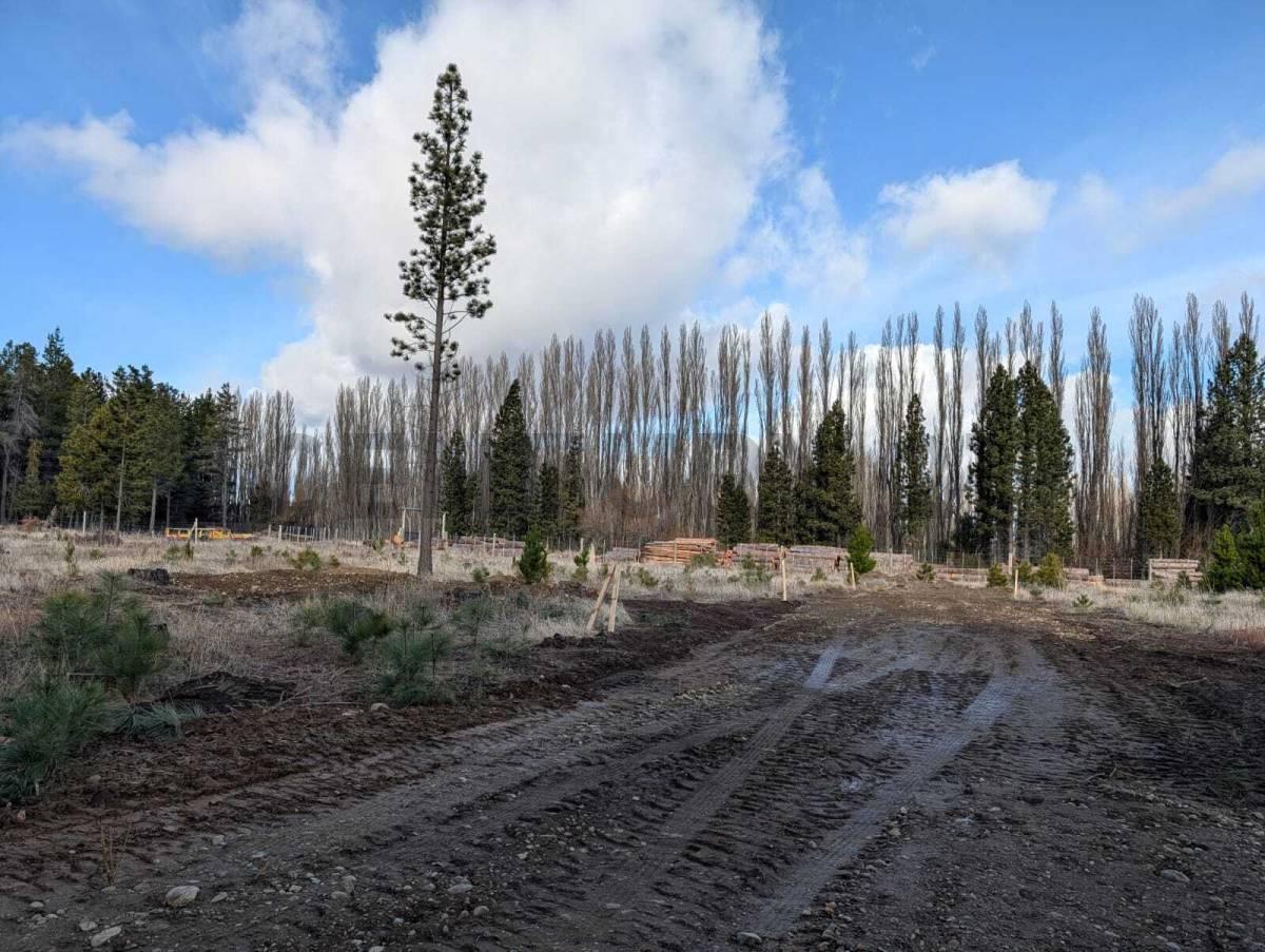Foto de Lote en venta Dina Huapi, imagen 1