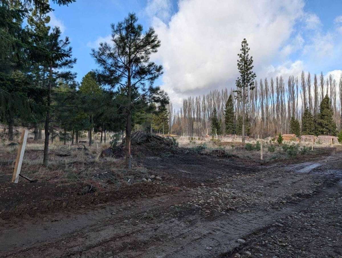 Foto de Lote en venta Dina Huapi, imagen 3