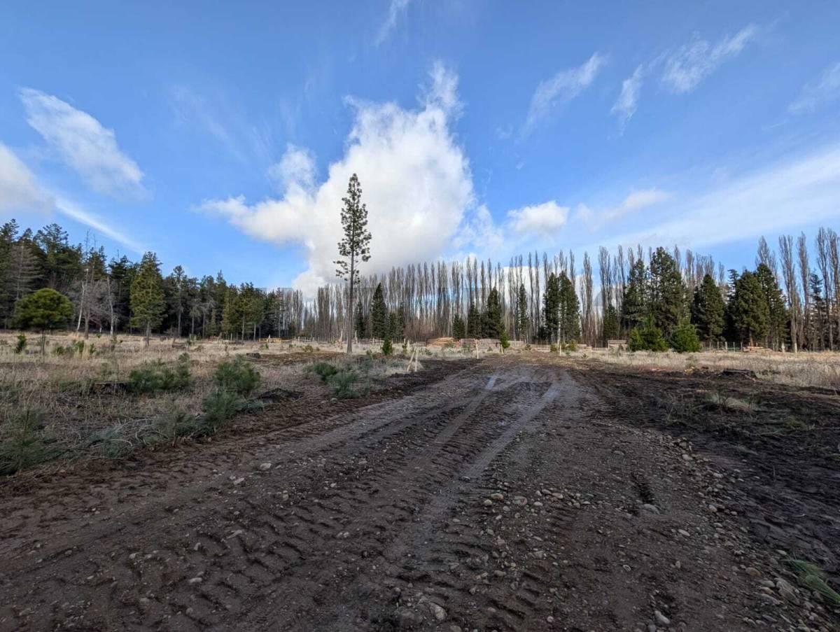 Foto de Lote en venta Dina Huapi, imagen 4