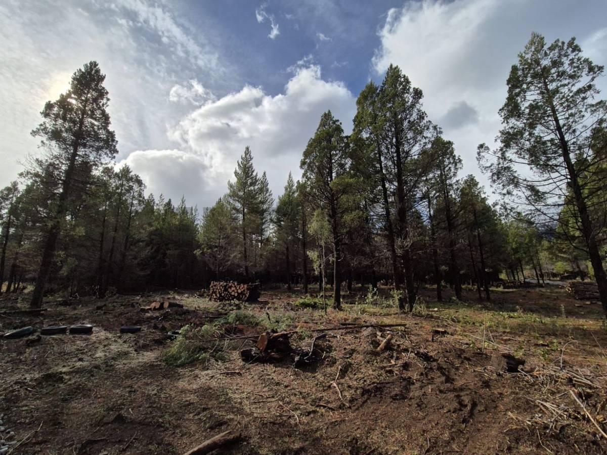 Foto de Lotes en venta El Bolsón, imagen 5