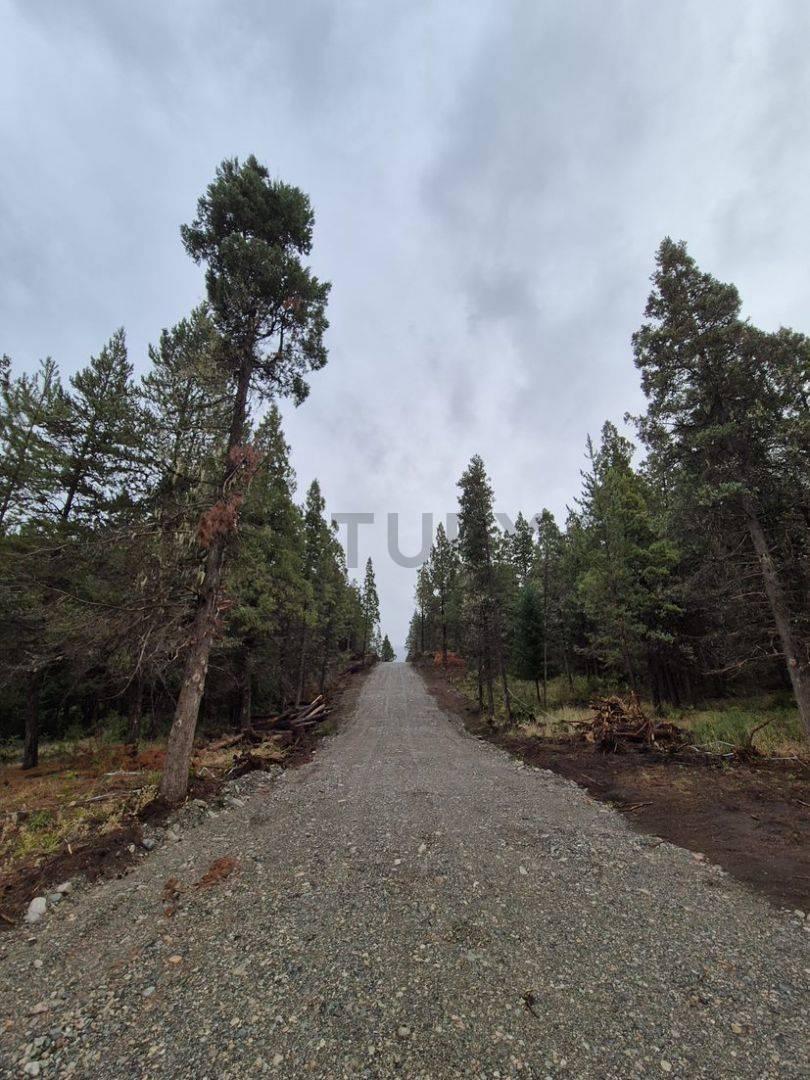 Foto de Lotes en venta El Bolsón, imagen 2