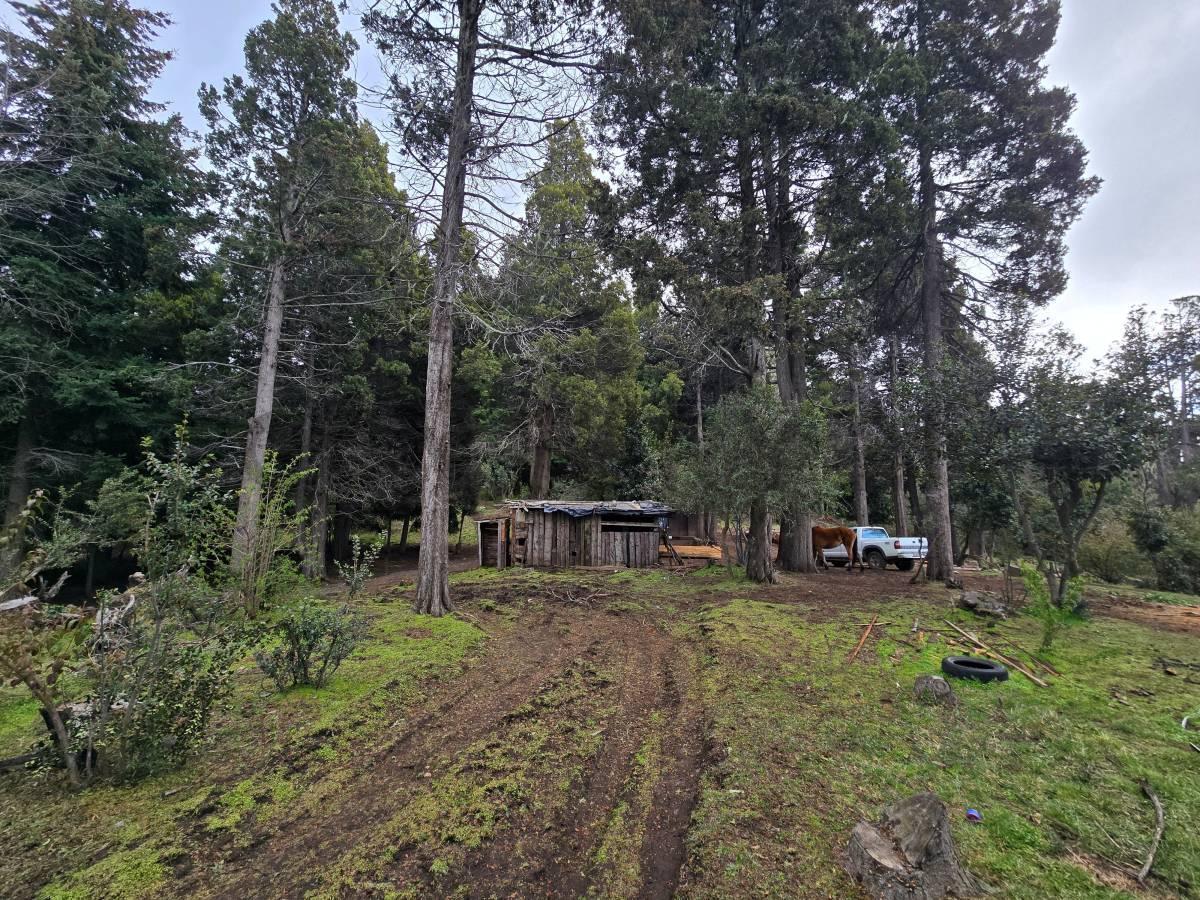 Foto de Lote de terreno para desarrollo inmobiliario en el centro de Bariloche, imagen 1