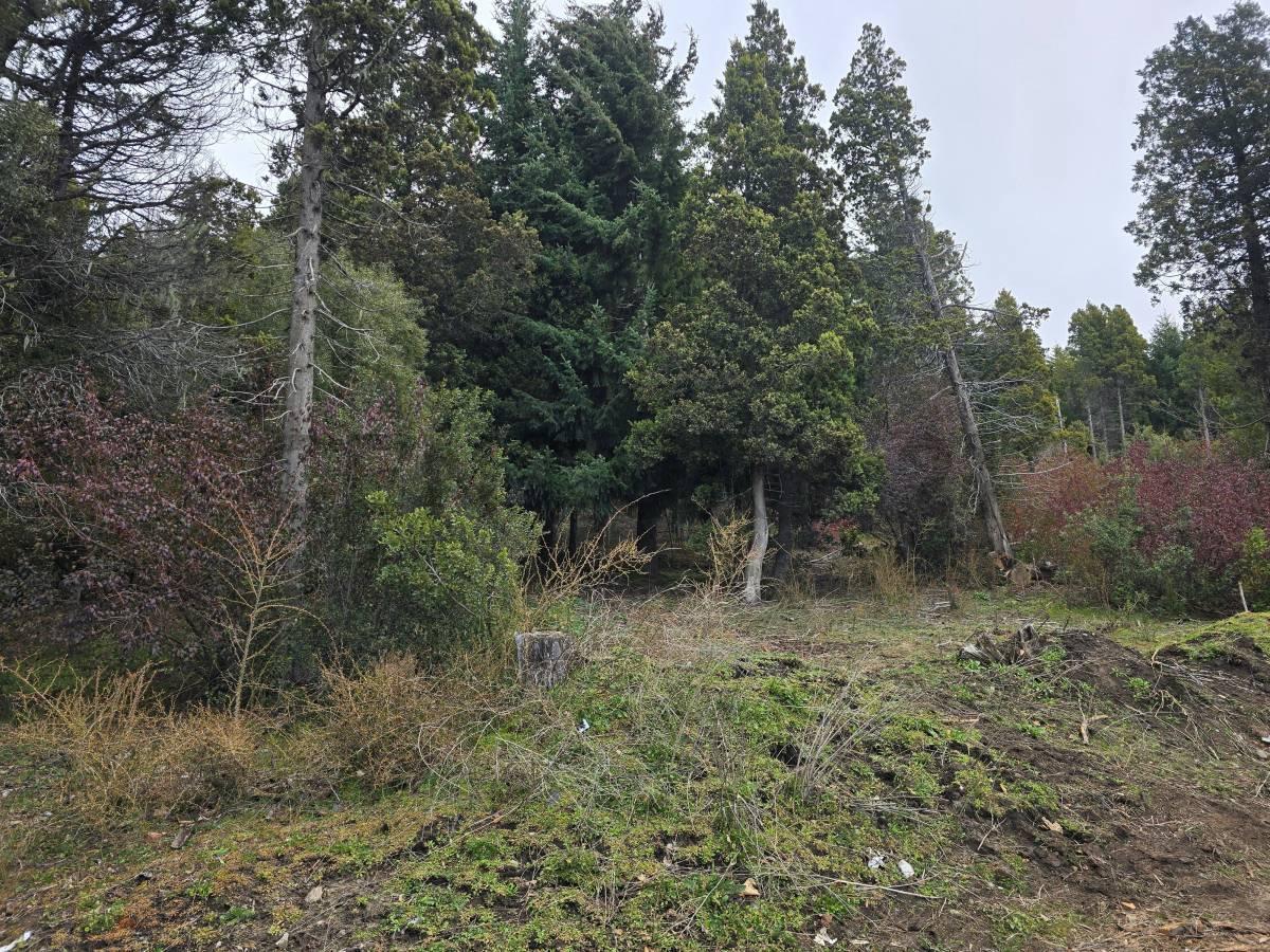 Foto de Lote de terreno para desarrollo inmobiliario en el centro de Bariloche, imagen 3