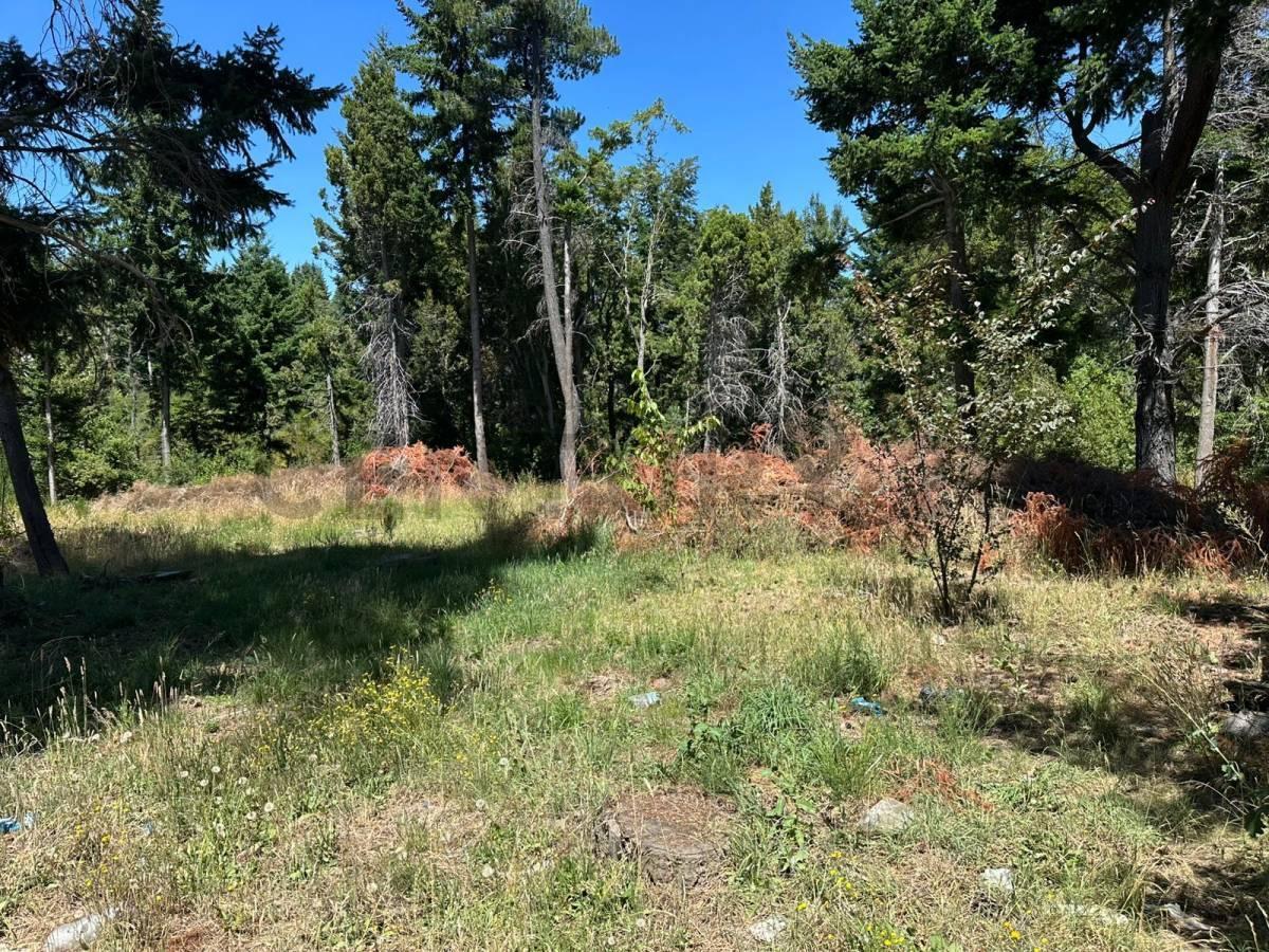 Foto de Lote en Venta Bariloche, imagen 2