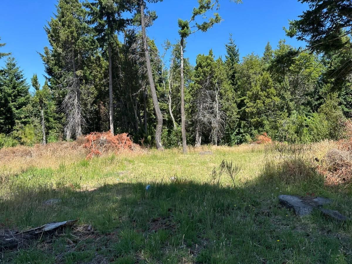 Foto de Lote en Venta Bariloche, imagen 4