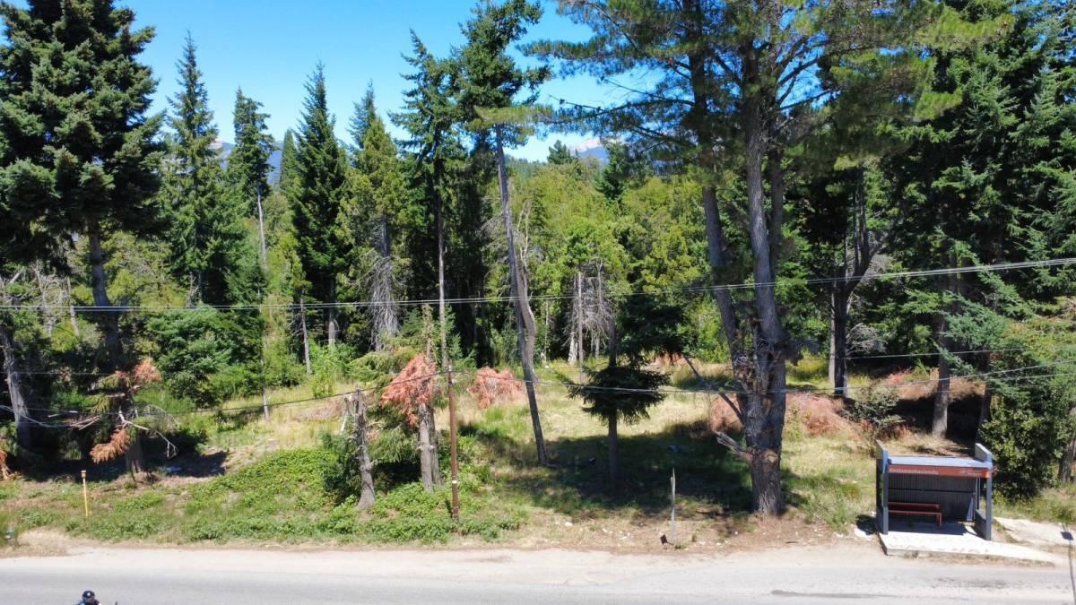 Foto de Lote en Venta Bariloche, imagen 5