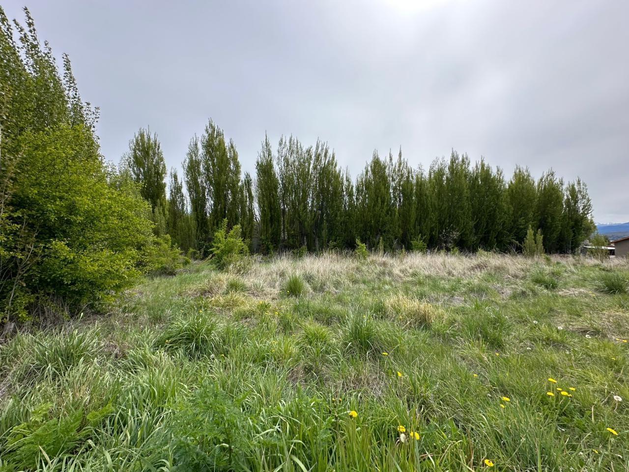 Foto de Lote en venta Bariloche, imagen 4