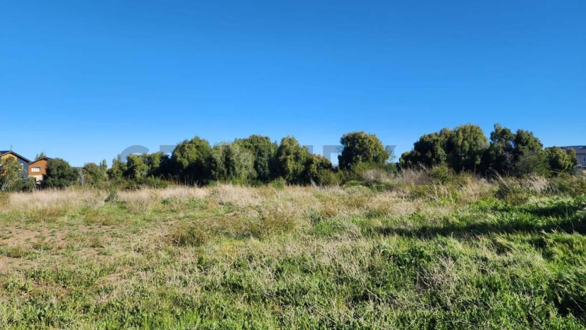 Foto de Lote en venta - Dina huapi, imagen 4