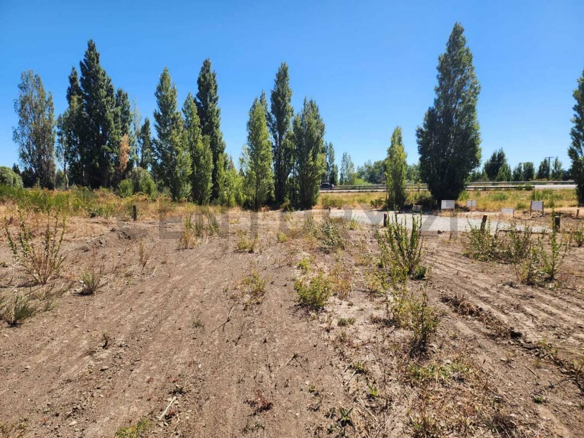 Foto de Lote en venta - Dina huapi, imagen 2
