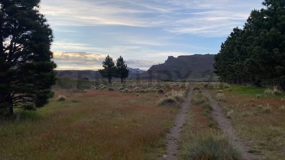 Foto de Campo en venta, imagen 2