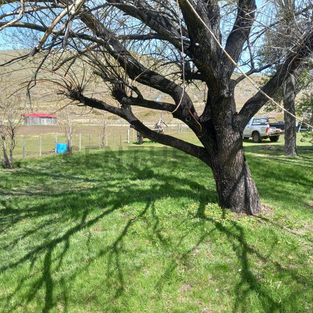 Foto de Campo en venta, imagen 5