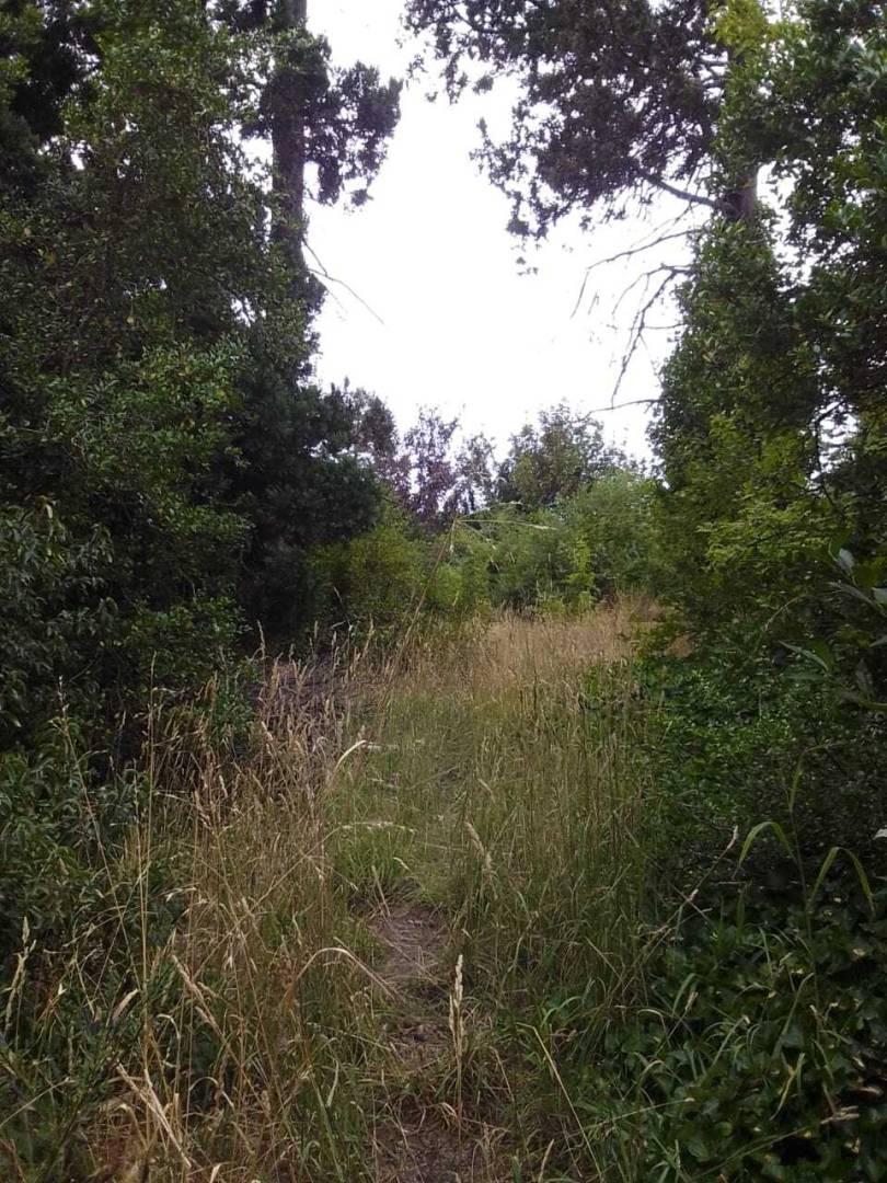 Foto de Terreno en venta en Bariloche, imagen 1