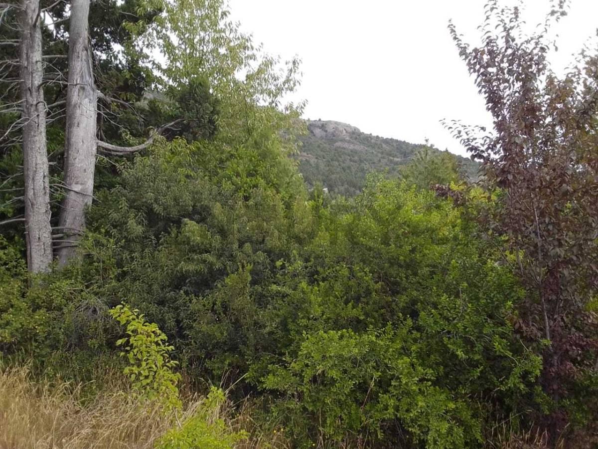 Foto de Terreno en venta en Bariloche, imagen 3
