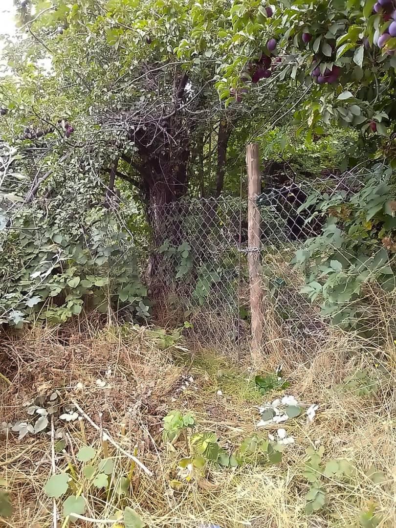 Foto de Terreno en venta en Bariloche, imagen 4