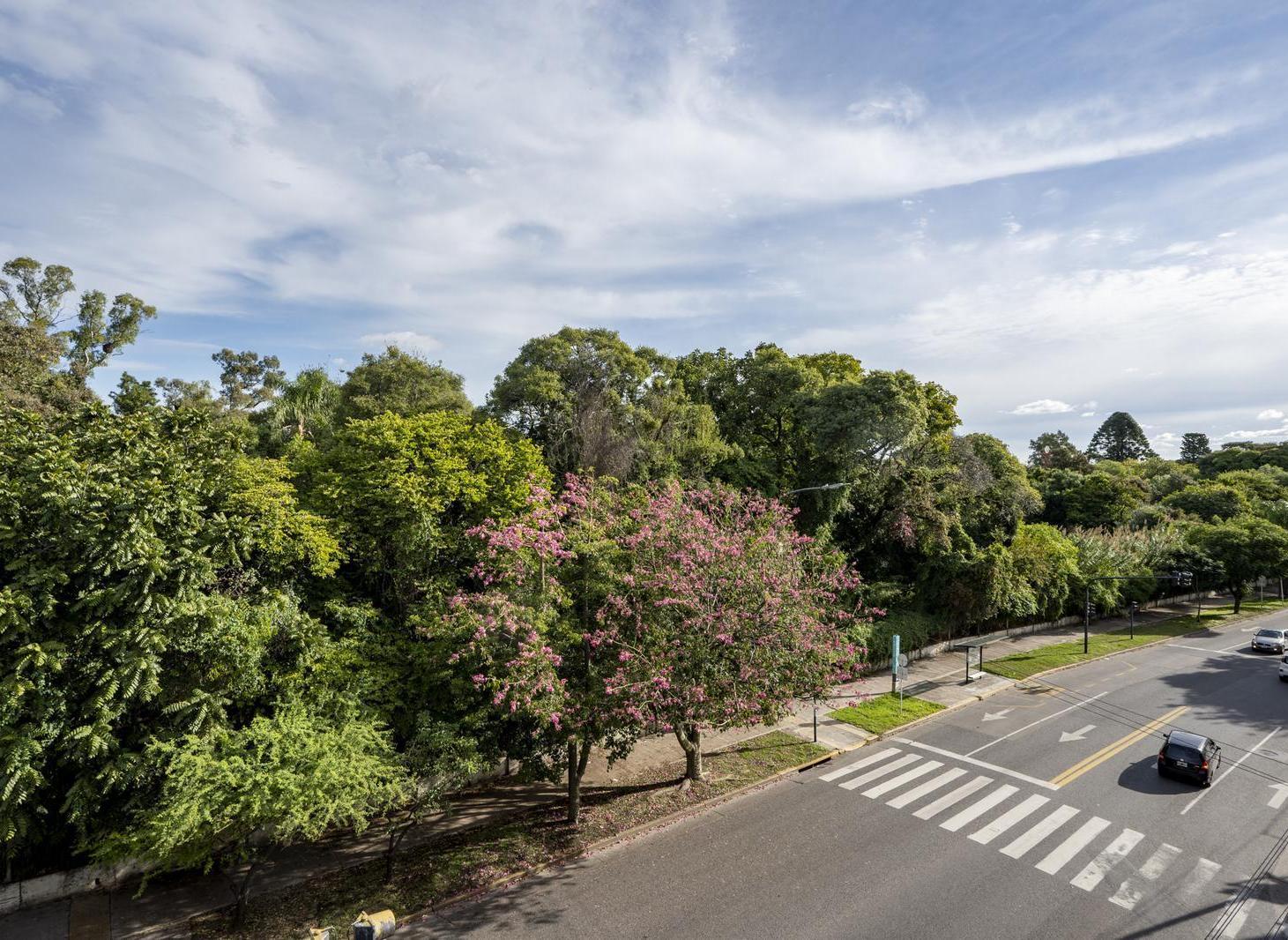 Foto de Departamento en Parque Chas, imagen 4