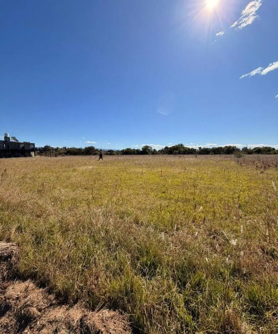 HERMOSO LOTE EN COMPLEJO GINKGO BILOBA - LOS MOLINOS - CAMBIAR TU RITMO DE VIDA ES POSIBLE 3