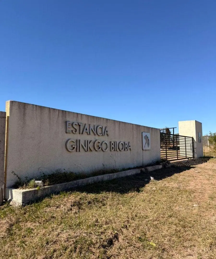 HERMOSO LOTE EN COMPLEJO GINKGO BILOBA - LOS MOLINOS - CAMBIAR TU RITMO DE VIDA ES POSIBLE 1