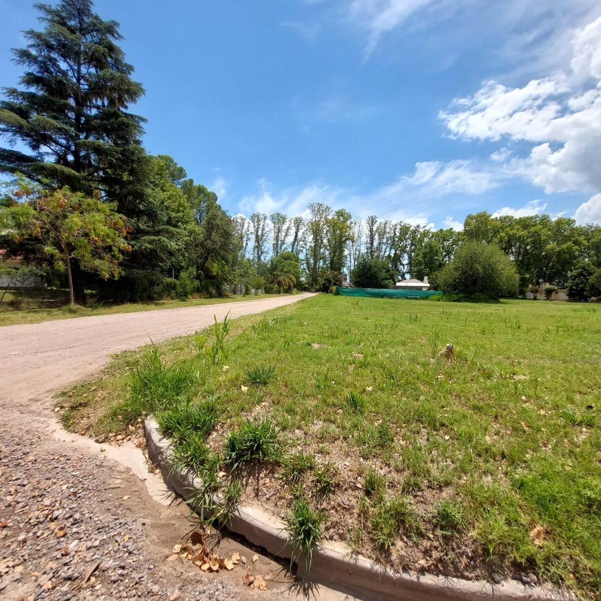 Lotes en Calle 54 Sur, Colonia Caroya 3