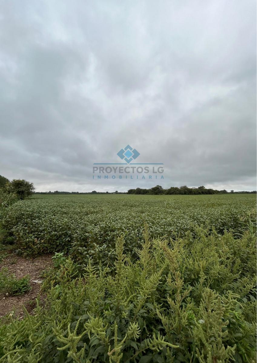 Campo 25 Ha, Colonia Caroya 4