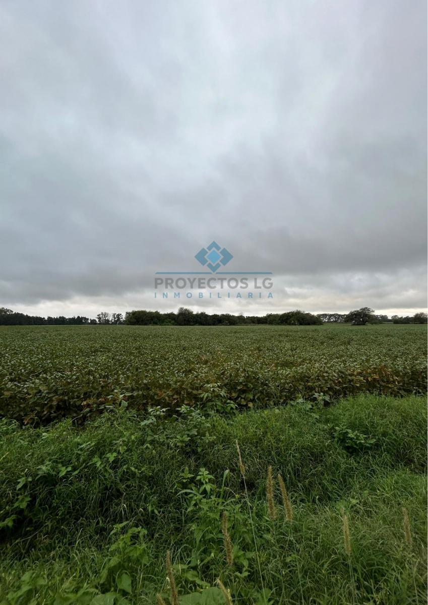 Campo 25 Ha, Colonia Caroya 5
