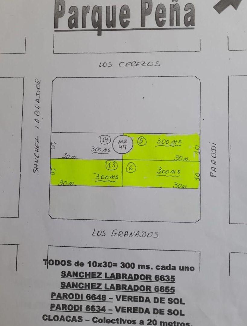 Foto de LOTES BARRIO PARQUE PEÑA JUNTOS O SEPARADOS, imagen 2