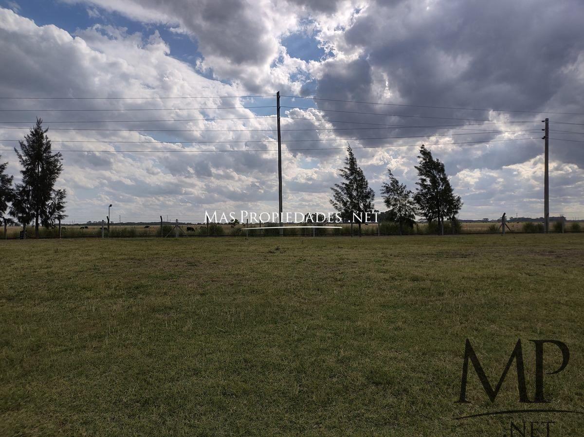 Foto de Venta Terreno / Lote en San Lucas Canning, imagen 4