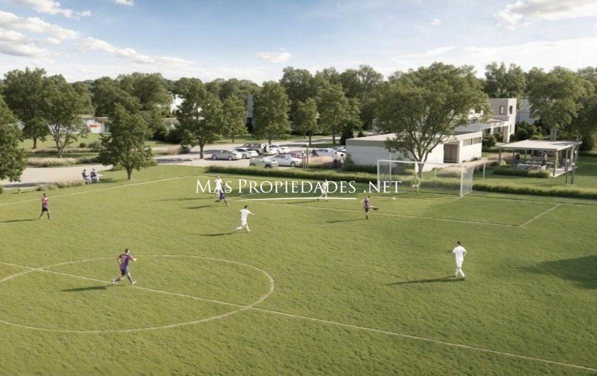 Foto de Venta Terreno / Lote en Damasia al sur Canning, imagen 3