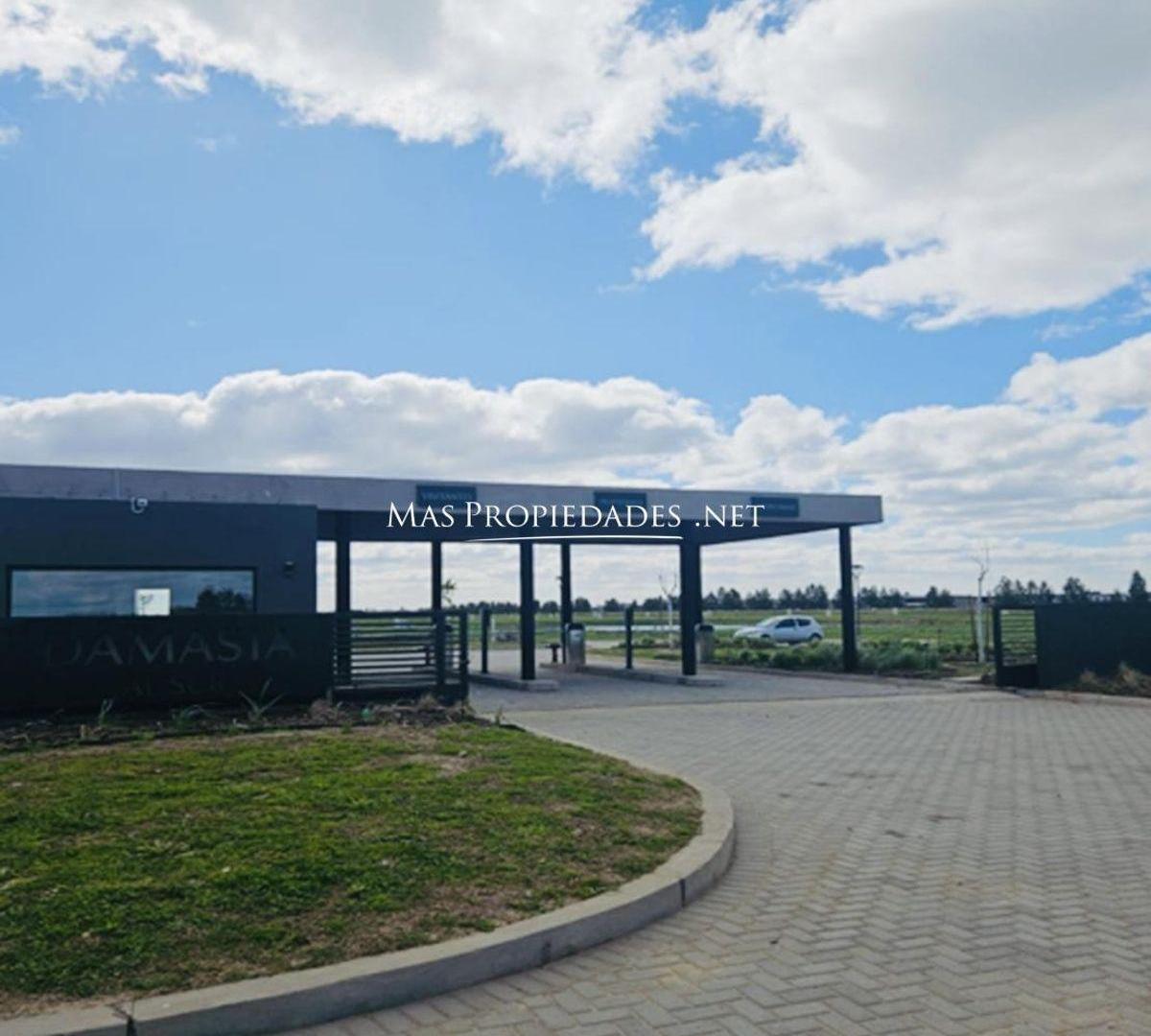 Foto de Venta Terreno / Lote en Damasia al sur Canning, imagen 4