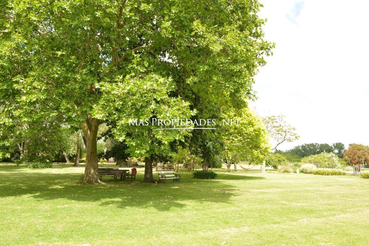 Foto de Venta Terreno / Lote San Juan Chico Berazategui, imagen 2