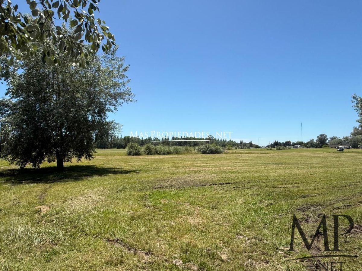 Foto de Venta Terreno / Lote al Golf en San Eliseo Golf Canning, imagen 3