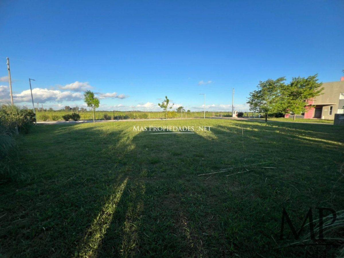 Foto de Venta Terreno / Lote en Horizontes al Sur Canning, imagen 1