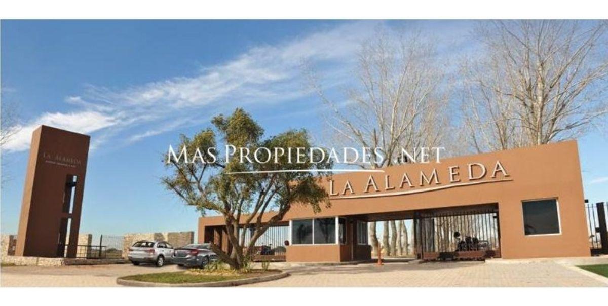 Foto de Venta Lote interno en La Alameda Canning, imagen 4