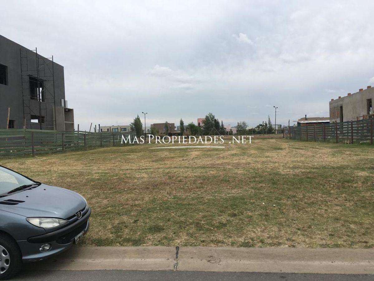 Foto de Venta Terreno / Lote interno en San Sebastián, imagen 2