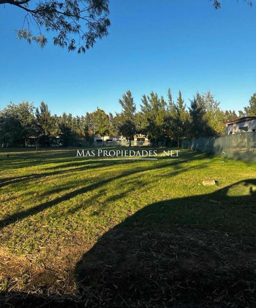 Foto de Venta Terreno / Lote interno en Miralagos, imagen 4